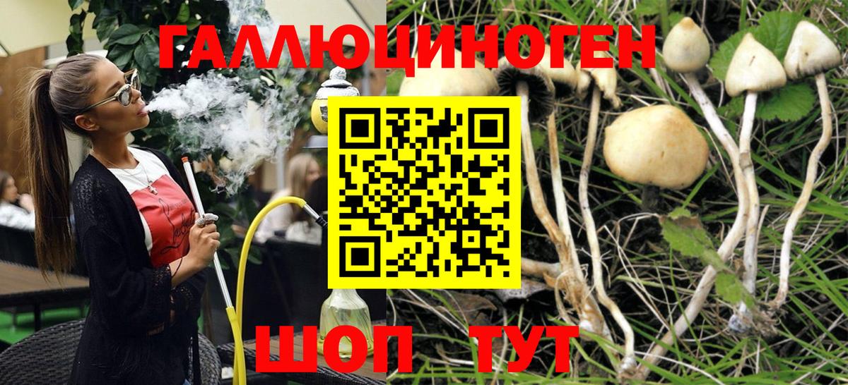 как найти закладки  Псилоцибиновые грибы мухоморы  Вход с VPN  Тара 