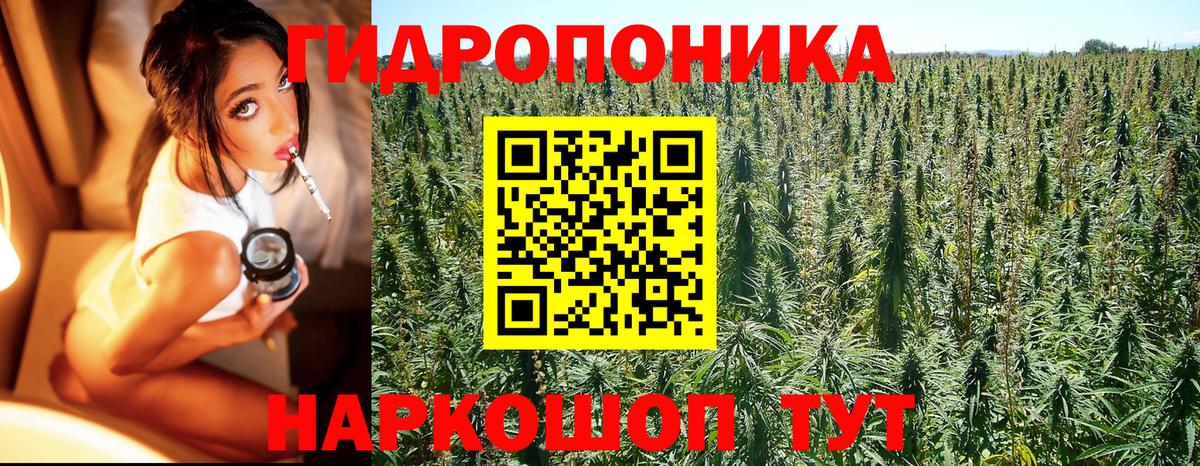 Тара  Шишки марихуана OG Kush  Бошки марихуана Ganja  Бошки марихуана ГИДРОПОН  Бошки марихуана конопля  Вход с VPN 